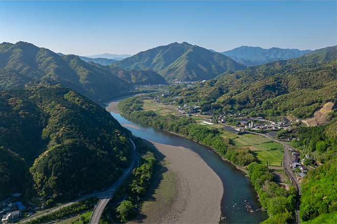 本気ジンジャエール