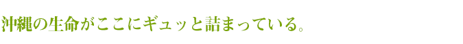 沖縄の姓名がここにギュッと詰まっている。