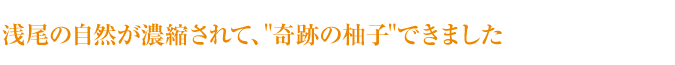 浅尾の自然が濃縮されて、奇跡の柚子できました