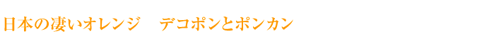 日本の凄いオレンジ　デコポンとポンカン