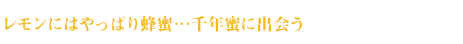 レモンにはやっぱり蜂蜜…千年蜜に出会う