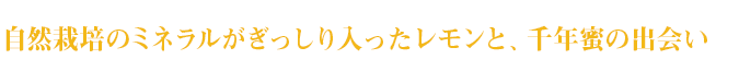 自然栽培のミネラルがぎっしり入ったレモンと、千年蜜の出会い