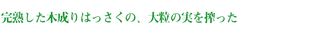 完熟した木成りはっさくの、大粒の実を搾った