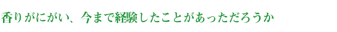 香りがにがい、今まで経験したことがあっただろうか