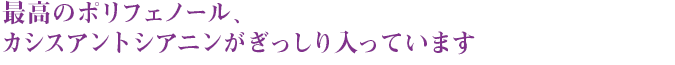 最高のポリフェノール、カシスアントシアニンがぎっしり入っています