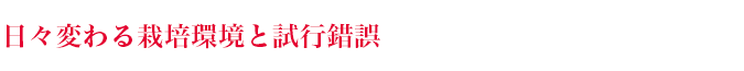 日々変わる栽培環境と試行錯誤