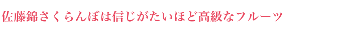 佐藤錦さくらんぼは信じがたいほど高級なフルーツ