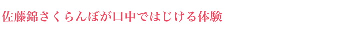 佐藤錦さくらんぼが口中ではじける体験