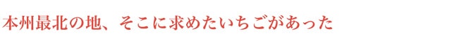 本州最北の地、そこに求めたいちごがあった