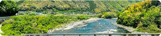 本気ジンジャエール