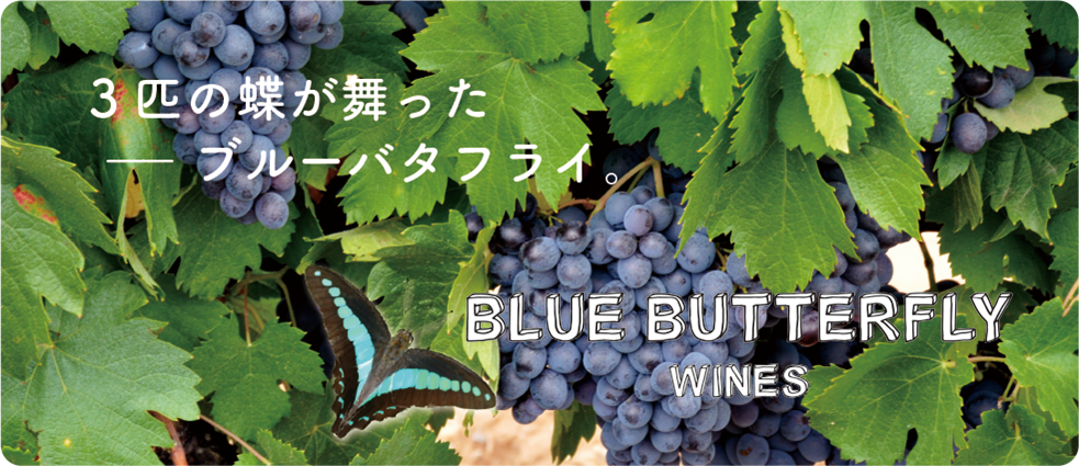 3匹の蝶が舞ったーーブルーバタフライ。 BLUE BUTTERFLY WINES